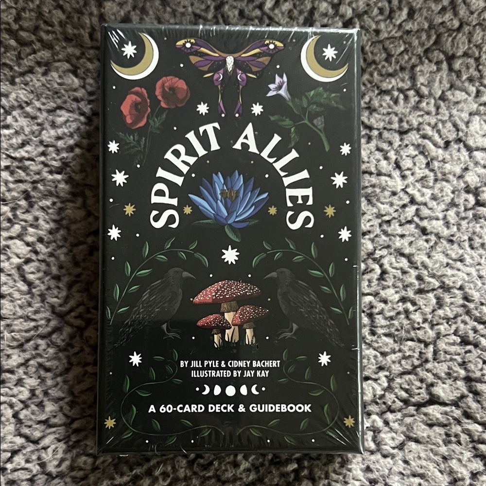 Spirit allies, 60 card deck, and guidebook NWT
